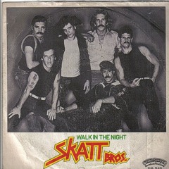 Skatt bros. - Walk the night (Ara Simonian Remix)