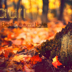 Lauri - Electric Autumn Lights (Original Mix)