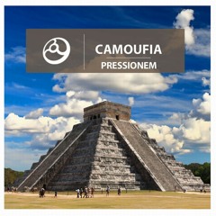 Camoufia - Void (Original Mix)
