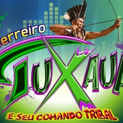 BANDA BRILHANTE - 100 VERGONHA (Guerreiro Tuxaua Marcantes)