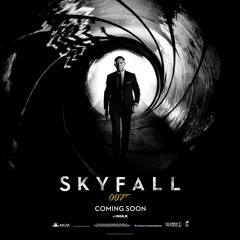 Skyfall (instrumental)