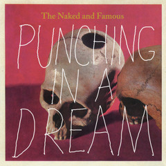 The Naked and Famous - Punching in a Dream (Instrumental Remix)