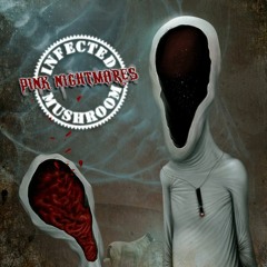 Infected Mushroom - Pink Nightmares (Album Mix) [HD]