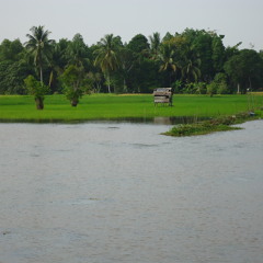 01. Pindang betok