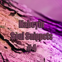 Nabeyin - Soul Snippets #4