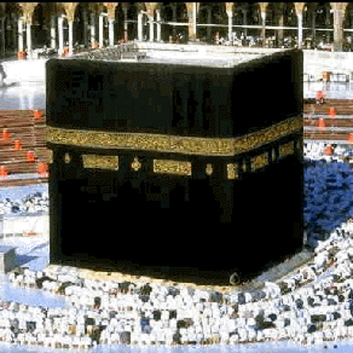تلاوة رائعة للشيخ نايف السالم ما تيسر من سورة فصلت39