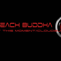 BEACH BUDDHA - At This Moment/Cloudburst