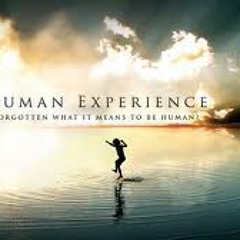 The Human Experience Featuring George Carlin