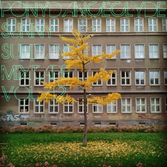 PDC SUNNY SUNDAY MIXTAPE VOL. 42