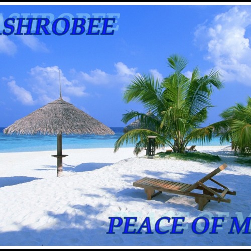 FlashRobee-Peace Of Mind(Original)[FreeDownLoad]