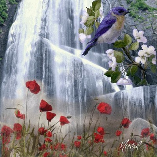 В душе пели птицы. Красивый водопад и птицы. Анимация природа. Живая природа водопады цветы животные. Красивая природа анимация.