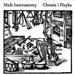 Problems with Chemistry on the Physics lessons (Problemy z chemią na lekcji fizyki)
