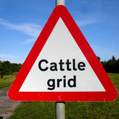 Bubaking - Cattle Grid (Free Download)