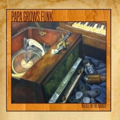 Papa Grows Funk - Out of the Mud