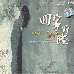 小闞  -  戀曲1990