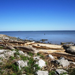 Heroin Beach Serpents Attack