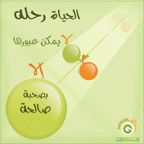 تموج السطور _ أبوعلي وأسامة السلمان  (رثاء الشيخ ابن باز)"رحمه الله"