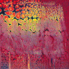 BI COASTAL BANGERS SHOW 10-28-12