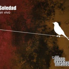Unos Infames - Soledad (En Vivo)
