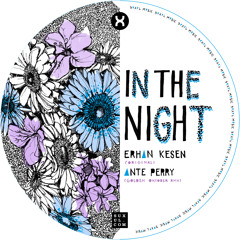 Erhan Kesen - In the night (Ante Perry´s Golden October Remix) - Suxul Music