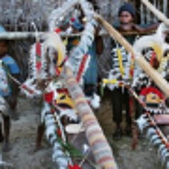 Does Size Really Matter? Yam ceremonies in Papua New Guinea (18 Oct 2012)