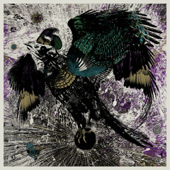 Old Apparatus - Schwee (Out now on "Alfur" EP)