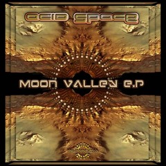 03 - Acid Space vs Earbug - Eargasmic