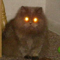 Zombie Wake Up Blues