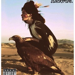 Star Anis Music (Feat. Max Spazzed) (Prod. by MF DOOM off Special Herbs)