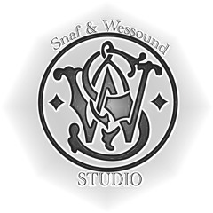 Secteur X Vol 1 2007 - Snaf , Dlnknt - Faut tu recongnise