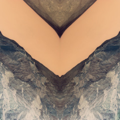 Va - Silver Swans 'Inner Voice' Mixtape