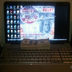 Lights Camera Action