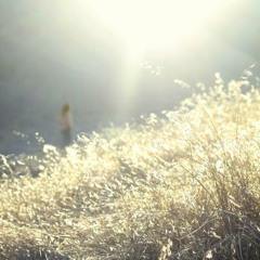 Ambient/Soundscape // October 29, 2012 (Sound Sketch)