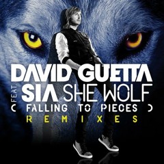 David Guetta ft Sia - She Wolf (Renan D Bootleg)