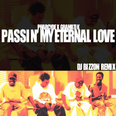 Pharcyde x Gramatik - Passin My Eternal Love (DJ Bizzon Remix)
