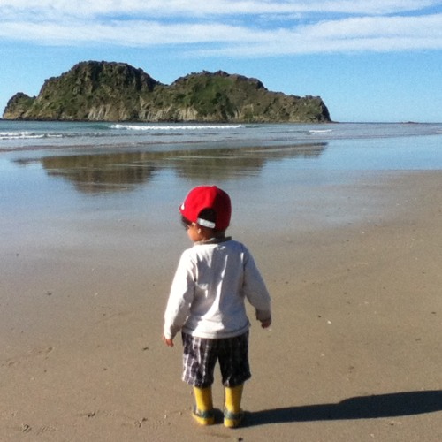 Dedicated  <maroonmusic>