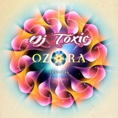 Dj Toxic set ozora 2012