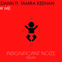 David Dann ft. Tamra Keenan - Follow Me (Insignificant Noize Remix)