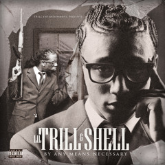THEY DONT LIKE ME-LIL TRILL & SHELL FT LIL BOOSIE AND YO GOTTI