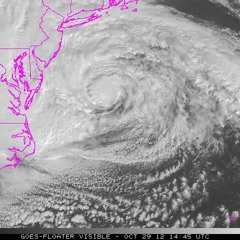 Yonder Comes a Sucker