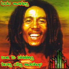 Bob Marley - Sun Is Shining (Tray City Mashup)