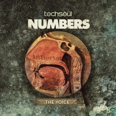 Numbers - The Voice (Original Mix) [Techsoul Records]