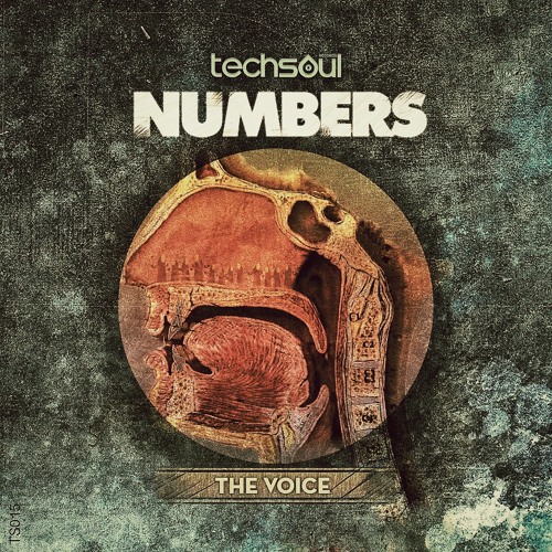 Numbers - The Voice (Original Mix) [Techsoul Records]