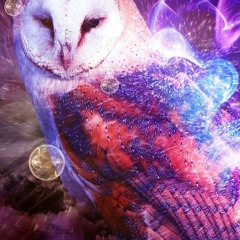 Aliena Mens -_- The Legend of the Owl - 155 bpm -