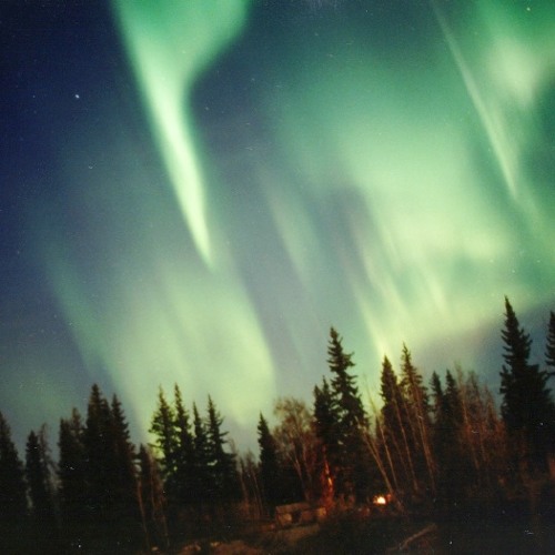 Blue Oyster Cult- Don't Fear the Reaper (Wicked Nickel) Free Download