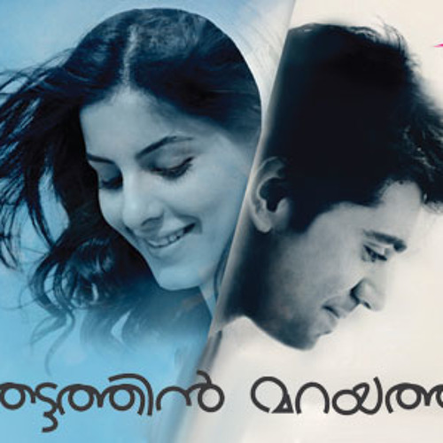 thattathin marayathu fathima remix