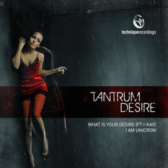 Tantrum Desire - What Is Your Desire  (Kinzy Remix)