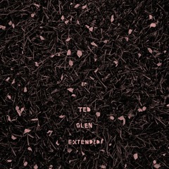 Ted Glen Extended - Peter (Radio Edit)