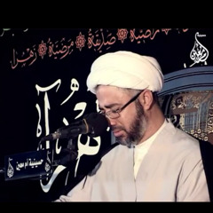 تِدَنّتْ يَمْ أبُوهَا وتِجْذِبْ الوَنة | سماحة الشيخ مصطفى الموسى