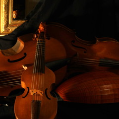Domenico Gabrielli Canon D,  Ensemble TACTUS